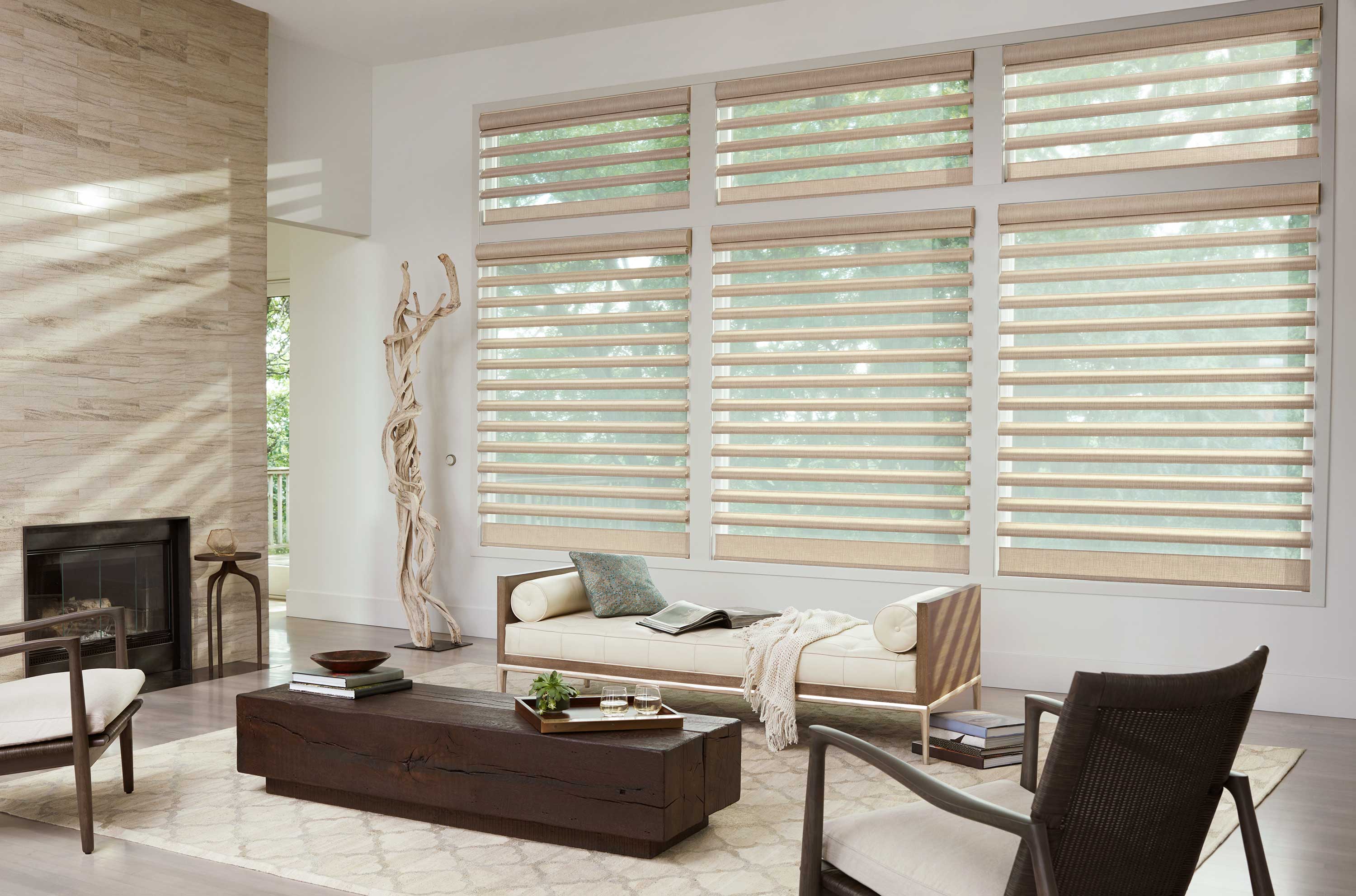 Hunter Douglas Pirouette Shades for Living Rooms Near Near Fairfield and Fremont, California (CA)
